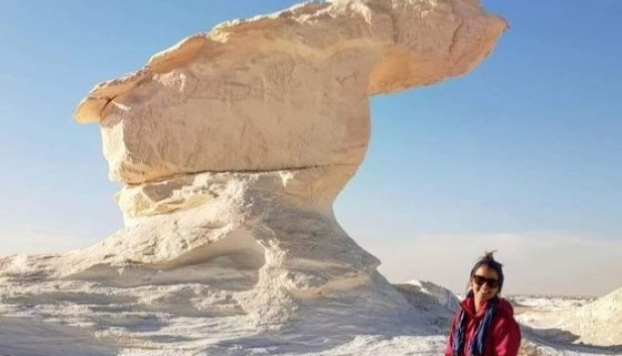 Top Day Trips from Cairo