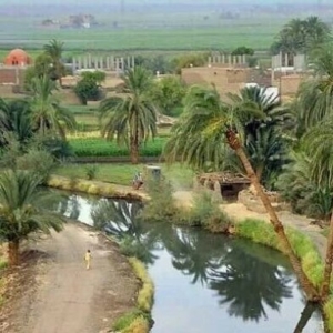 fayoum oasis