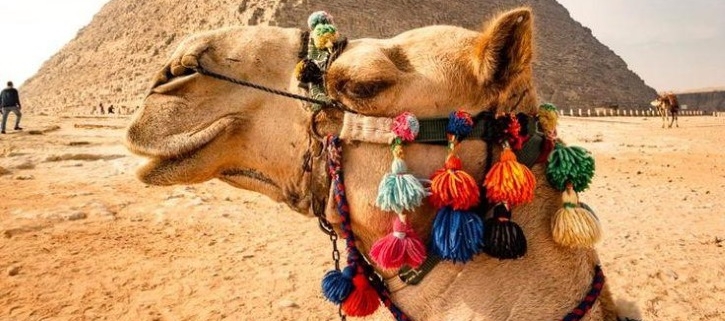 Avoid Tourist Traps of camel ride at Giza pyramids