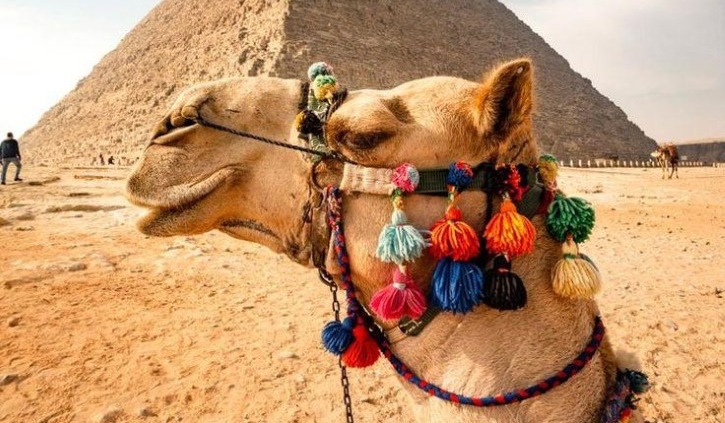 Avoid Tourist Traps of camel ride at Giza pyramids