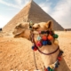 Avoid Tourist Traps of camel ride at Giza pyramids