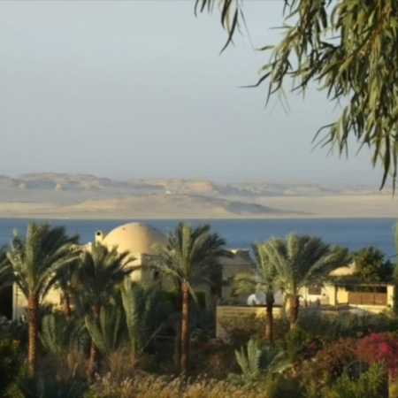 fayoum oasis