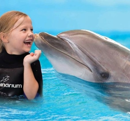 swim with dolphins swim with dolphins.