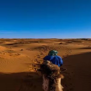 Desert Egypt Tours: Unforgettable Journeys Across the Sahara