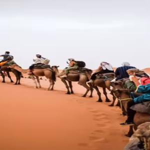 Marsa Alam Safari Tours: Ride Through Golden Sands