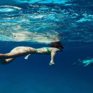 Marsa Alam Swimming with Dolphins: Get Up Close
