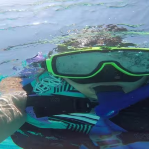 Sharm El Sheikh Snorkeling Tours: Dive into the Red Sea