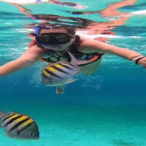 Snorkeling Marsa Alam Tours: Dive into a Stunning World