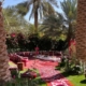 Egypt’s Countryside