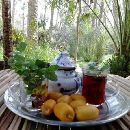 Farm tour from Cairo