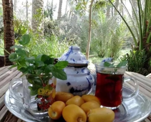Farm tour from Cairo
