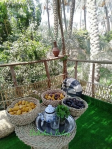 farms of egypt