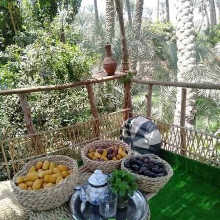 farms of egypt