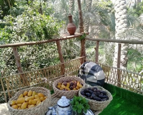 farms of egypt