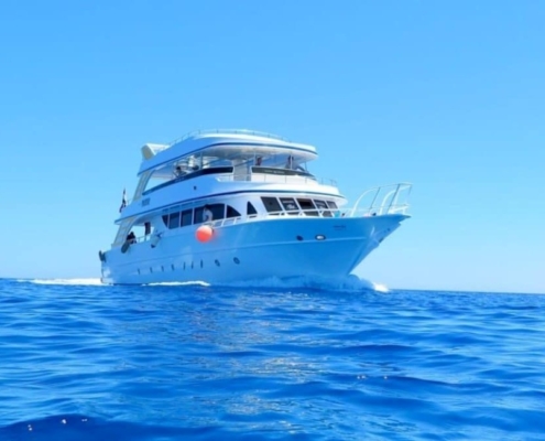 boat trip hurghada by axa tours Private Dolphin House Boat Trip from Hurghada