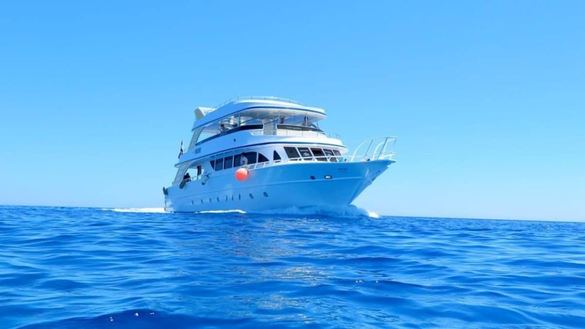 Private Dolphin House Boat Trip from Hurghada