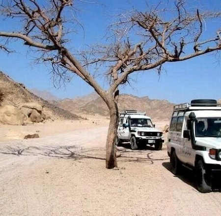 Hurghada Desert Safari by 4x4 Jeep