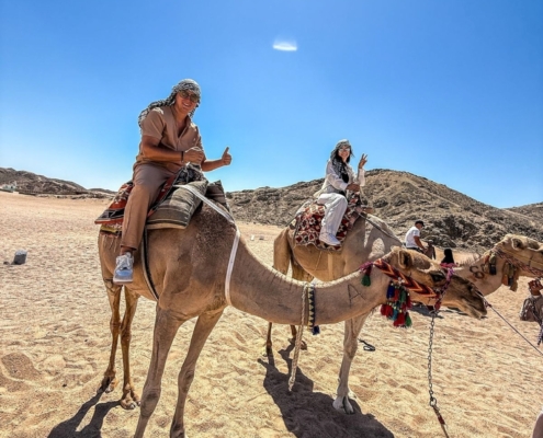 camel ride
