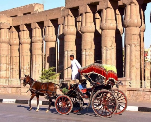 Luxor City Tour