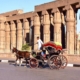 Luxor City Tour
