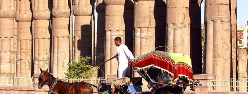 Luxor City Tour