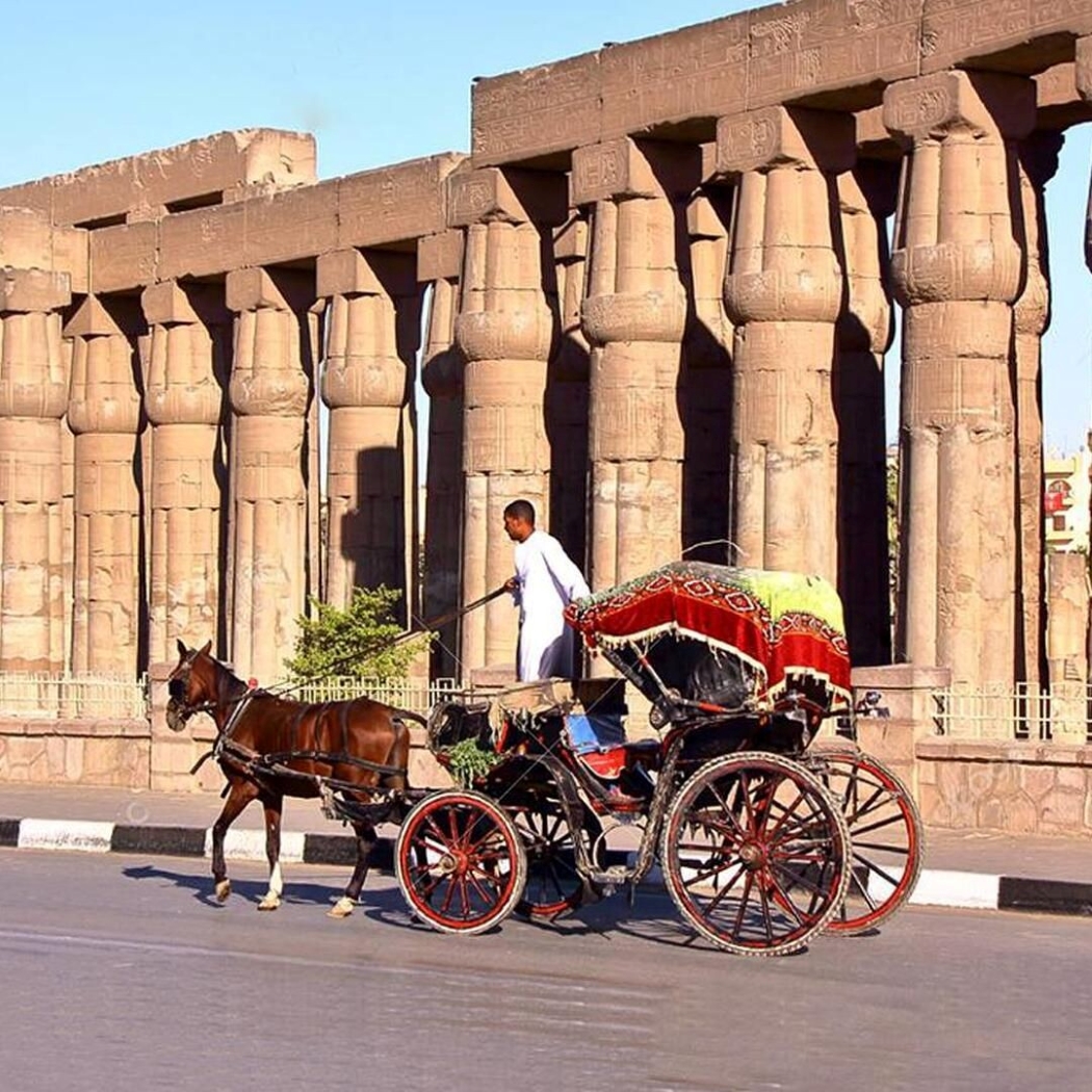 Luxor City Tour
