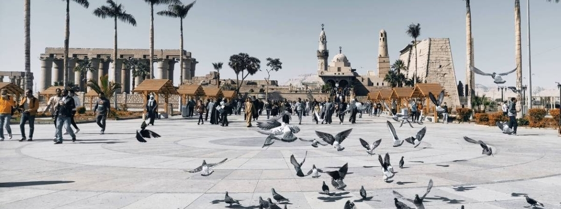 luxor city tour