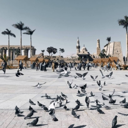 luxor city tour