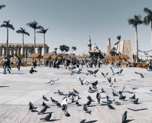 luxor city tour