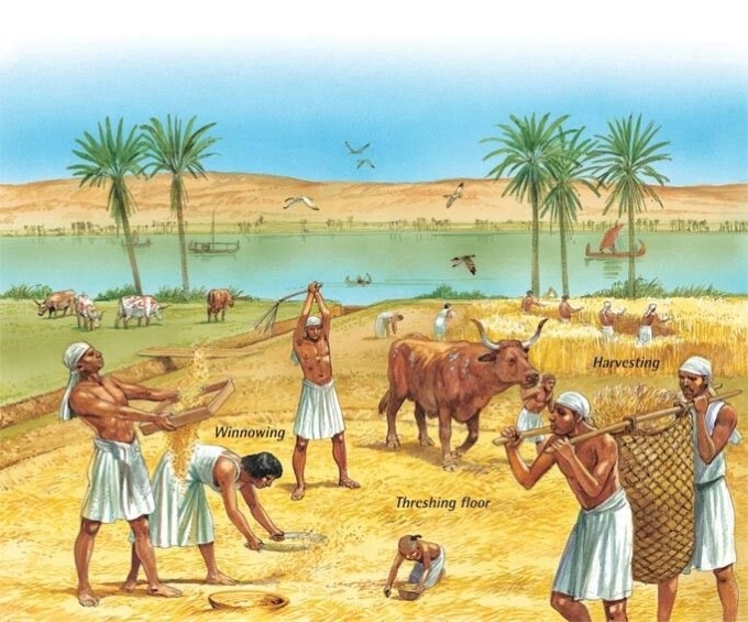 the seasons of the Ancient Egyptian Calendar