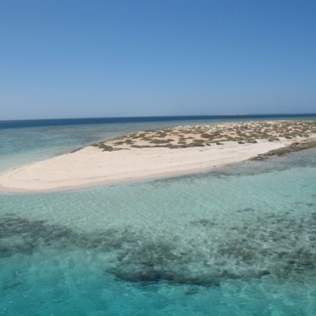 Wadi El Gemal Island