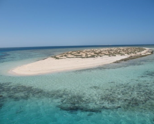 Wadi El Gemal Island Wadi El Gemal Island