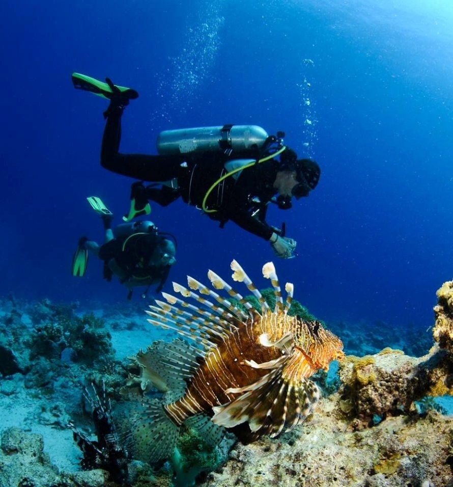 diving red sea.jpg